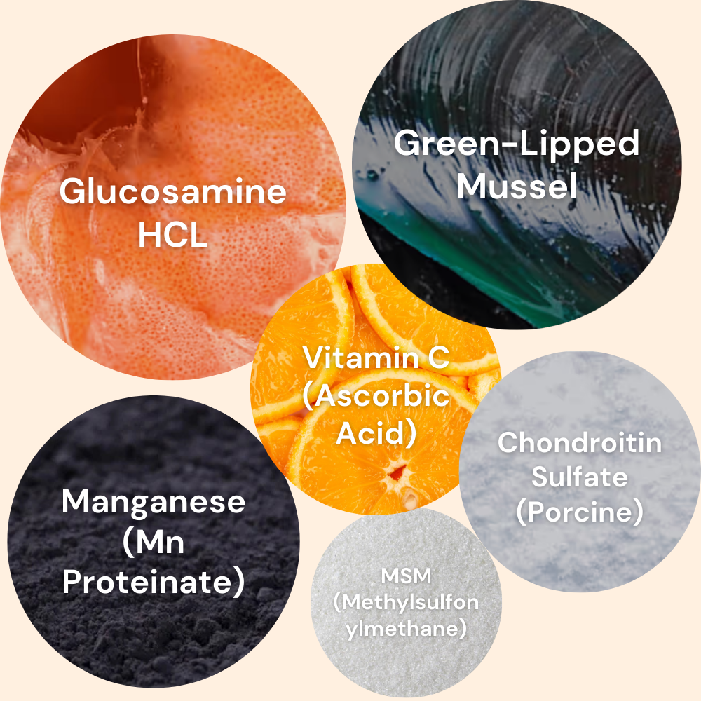 Pawvention Joint Care Chews