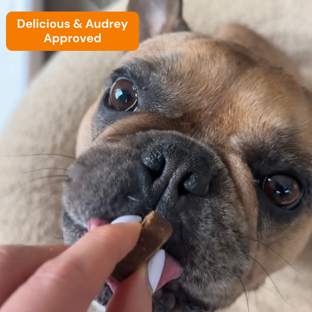 Pawvention Joint Care Chews