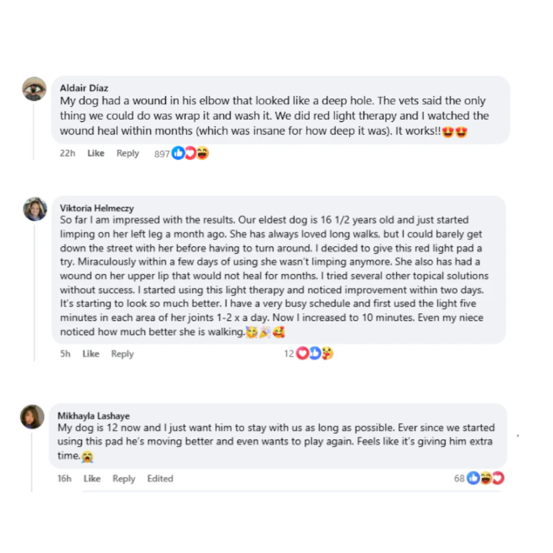 Pawvention Pet Red-Light Mat