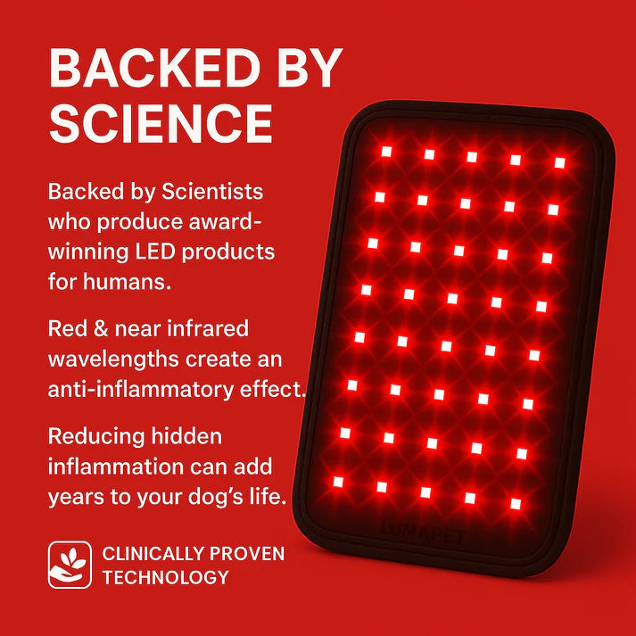Pawvention Pet Red-Light Mat