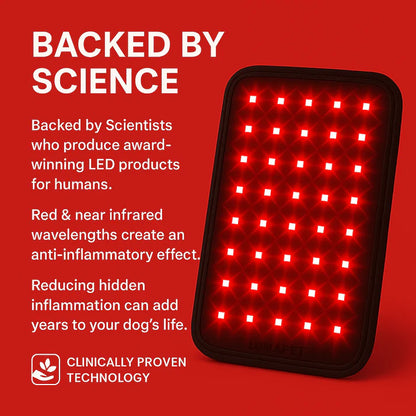 Pawvention Pet Red-Light Mat