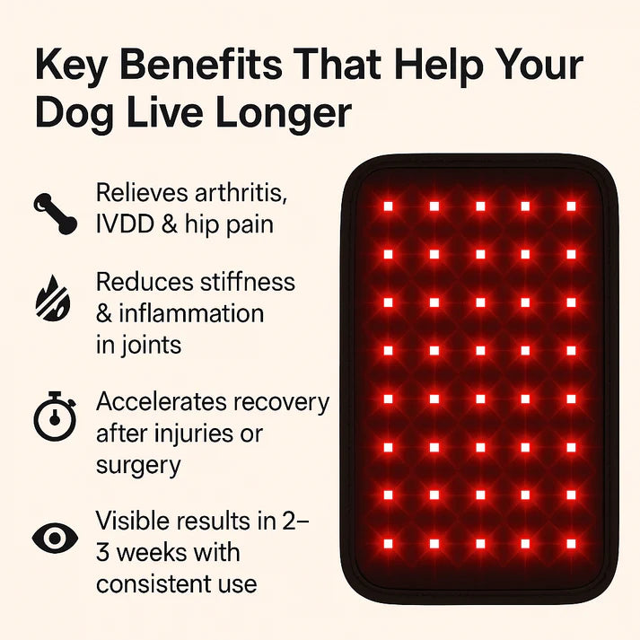 Pawvention Pet Red-Light Mat