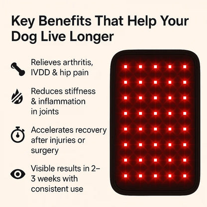 Pawvention Pet Red-Light Mat